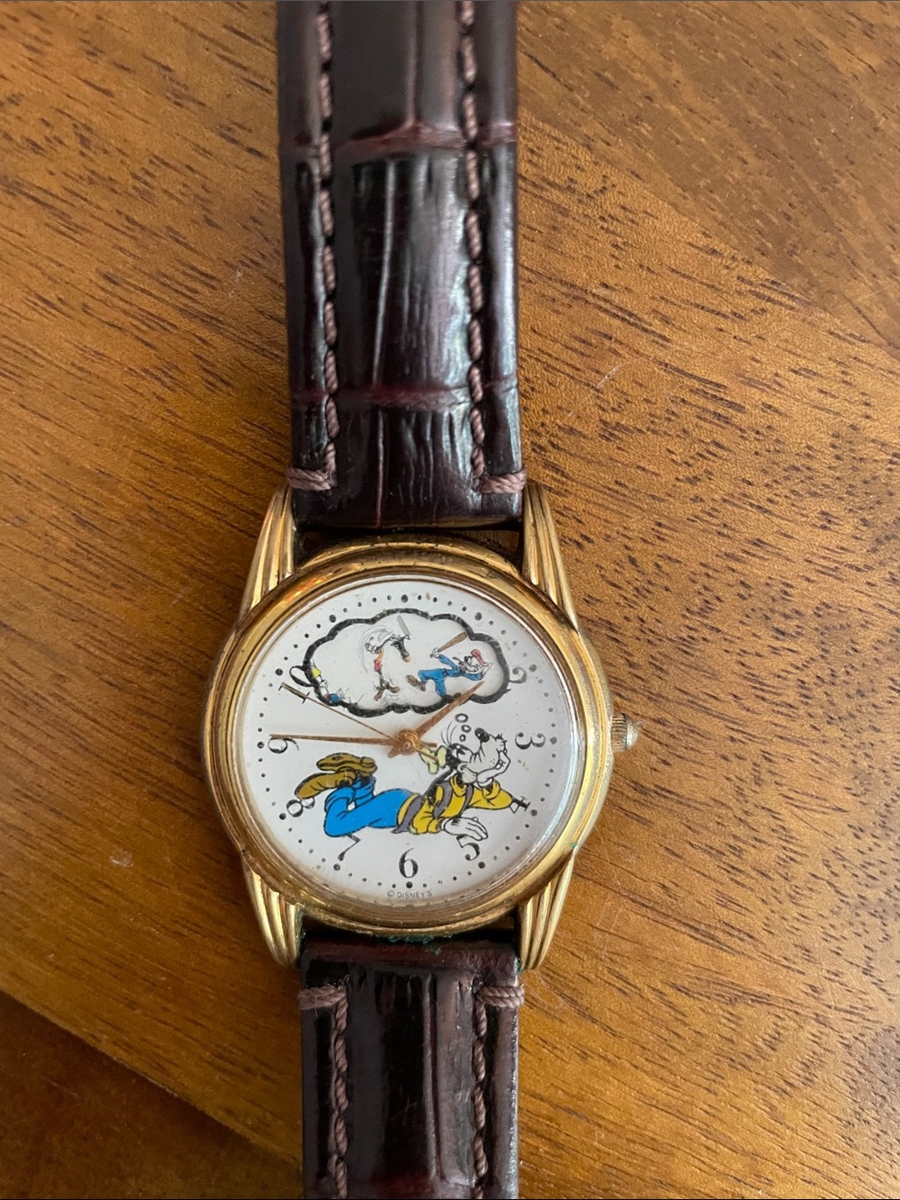 Goofy Dreaming Men's Watch — Brown Leather Strap, Gold Case